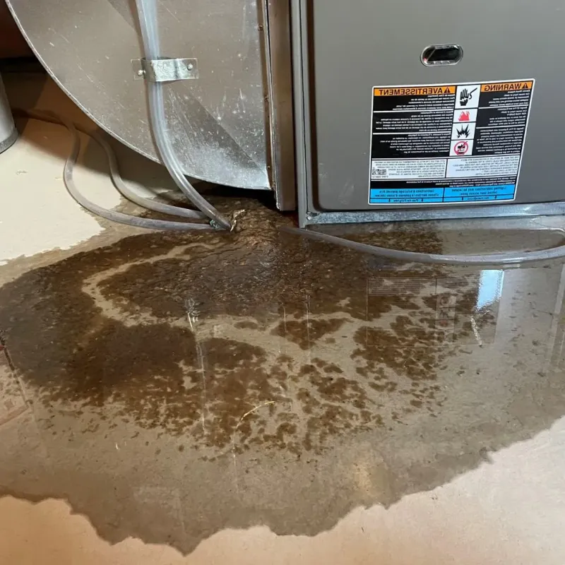 Pipe Burst and Leak Restoration in Bartonville, IL