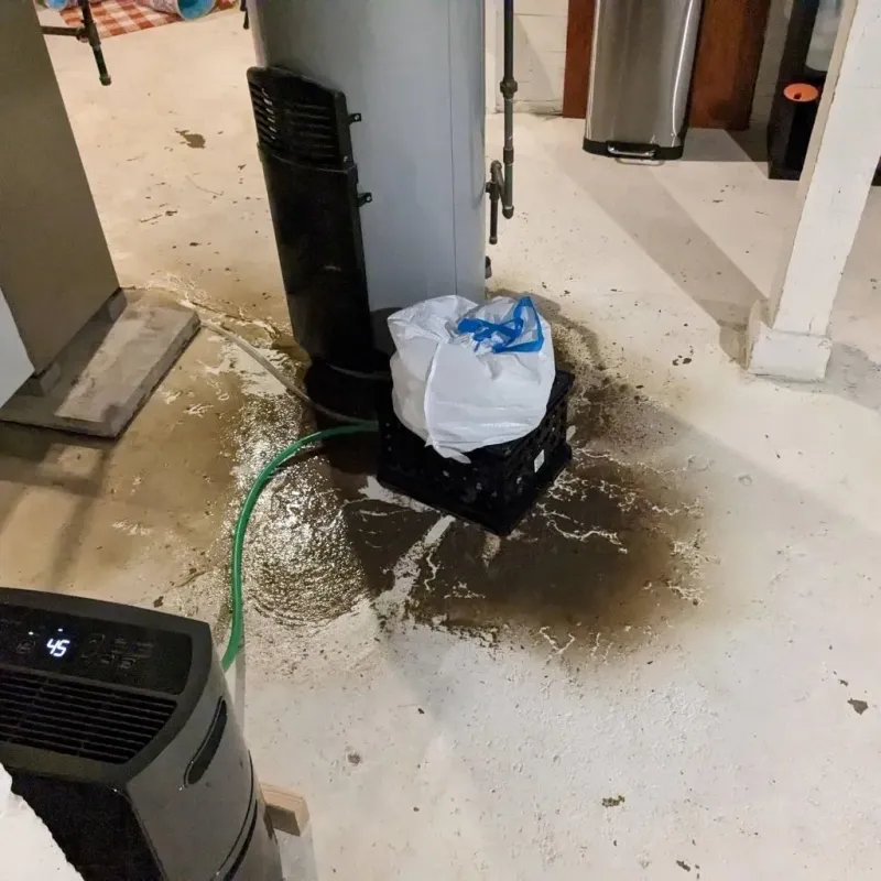 Sewage Backup Cleanup Service in Bartonville, IL